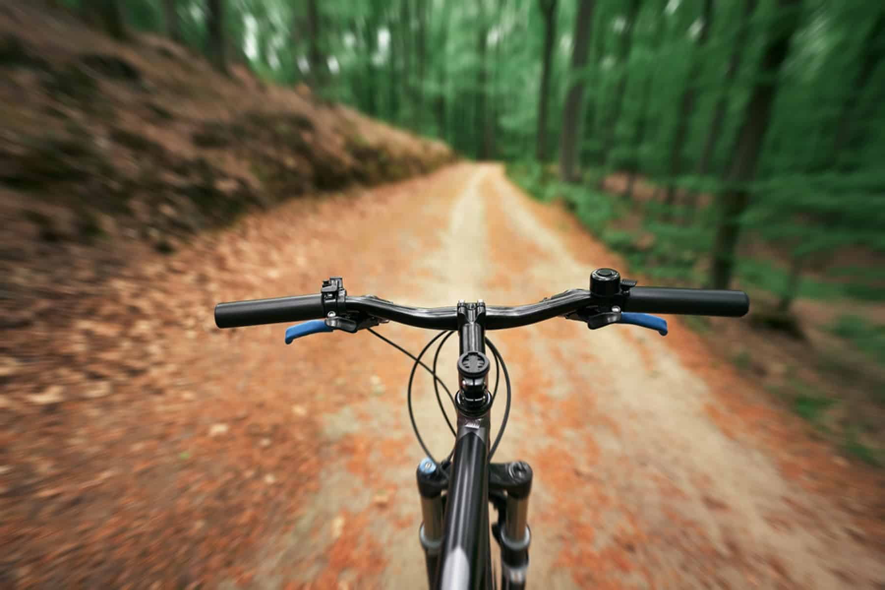 First person view of handling the bicycle on the empty forest road towards sunlight. Outdoor bike riding during sunny summer evening